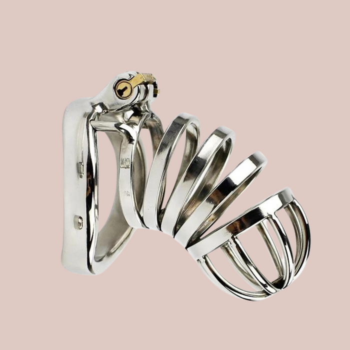 Bird Cage Horizontal Standard Metal Chastity Cage