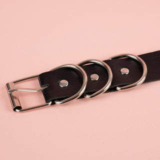 A close up of the buckle and circular strap clasps.