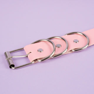 The buckle and holding rings on the pink collar.