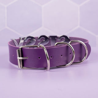 The rear view of the Purple Sissy collar, you can see the matching silver buckle.