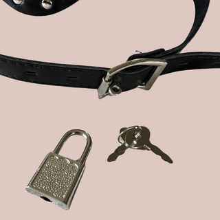 A close up of the strap to show that it can be locked , and the padlock and keys that are included.