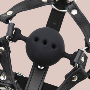 The ball gag shown led down, you can see a close up of the ball gag and the holes that allow the wearer to breathe.