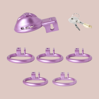 All of the elements that make up the Sissy Pussy BDSM Chastity cage. The cage, lock and keys, and 5 base rings.