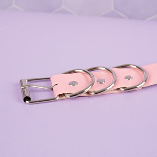 A close up of the buckle on the pink collar.