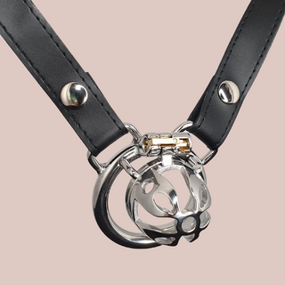 The Celestriax from House Of Chastity is shown here fully assembled, the chastity belt is in place, the belt ears on the chastity cage can be seen. You can see the delicate cut out design that allows air flow and urination.